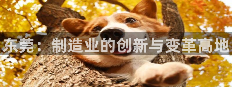 球盟会体育平台