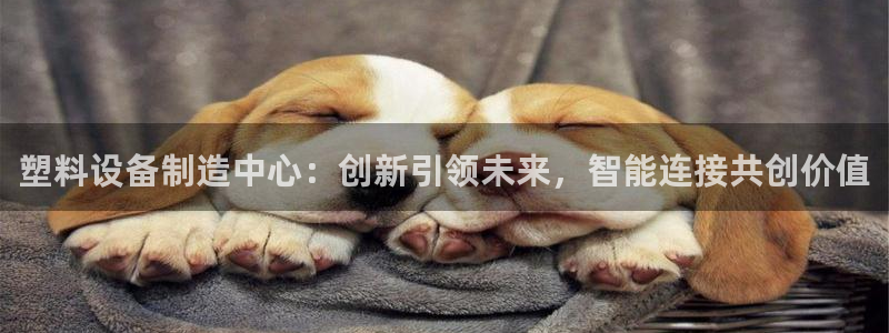 球盟会官方网页登录