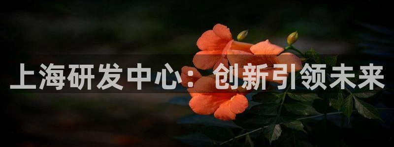 球盟会官方最新入口