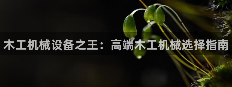 球盟会最新地址备用