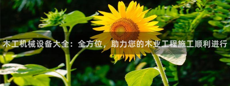 球盟会游戏