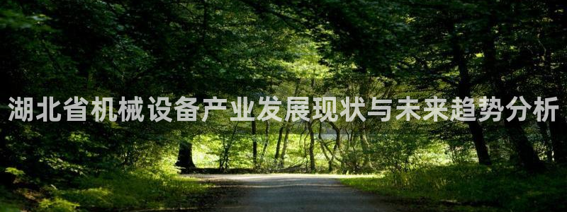 球盟会可以提现么是真的吗