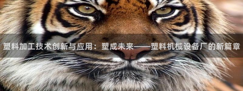 球盟会体验金球奖吗