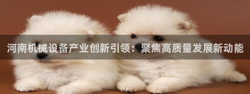 球盟会app手机登录