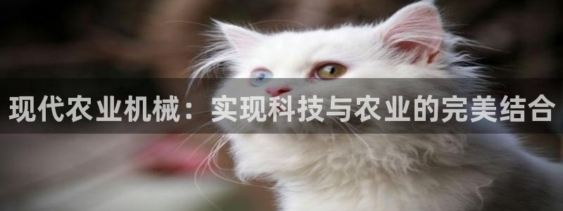 球盟会黑台子吗