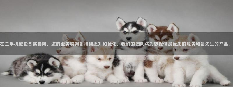 球盟会app最新地址下载安装
