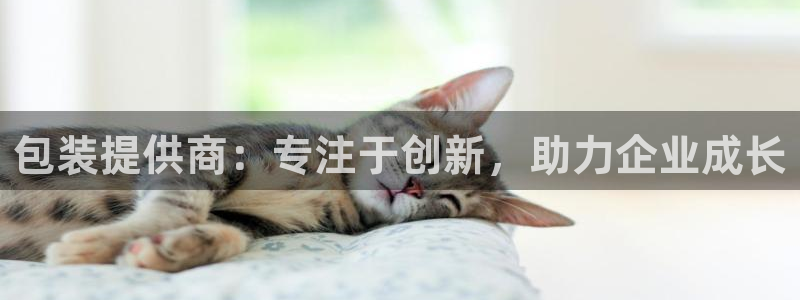球盟会在线登入