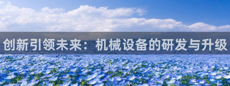 球盟会有限公司怎么样