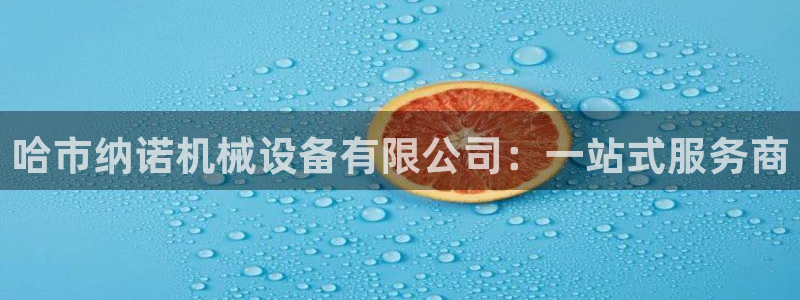 球盟会在线登入