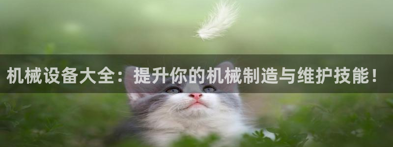 球盟会里面有打牌的嘛知乎