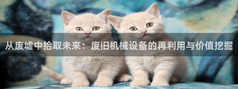 球盟会可以提现么