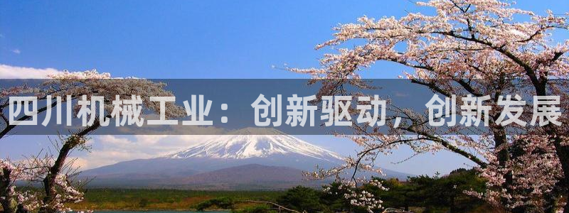 球盟会下载最新版