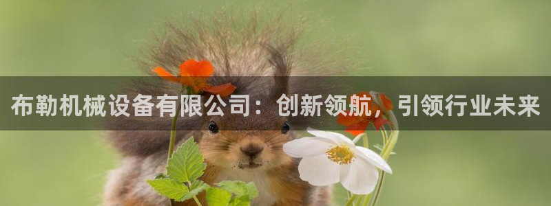 球盟会唯一