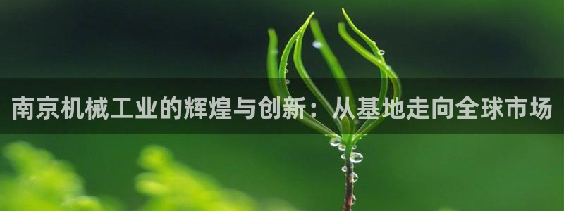 球盟会用的客服聊天是哪个软件