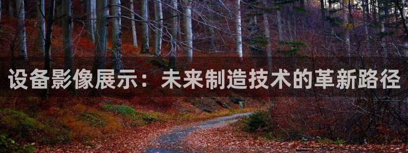 球盟会网址多少