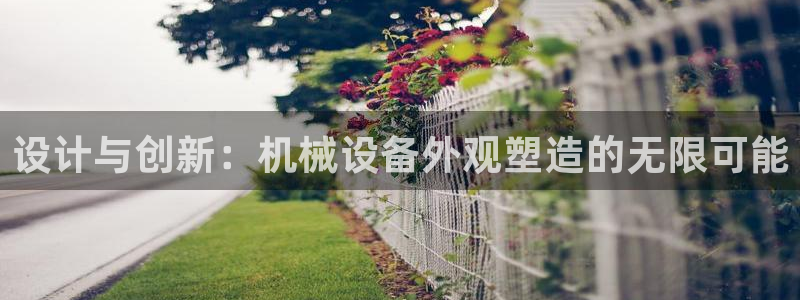 球盟会里面有打牌的嘛