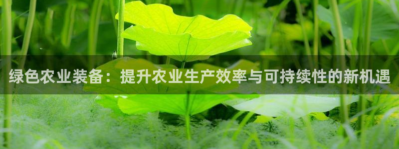 球盟会综合体育平台