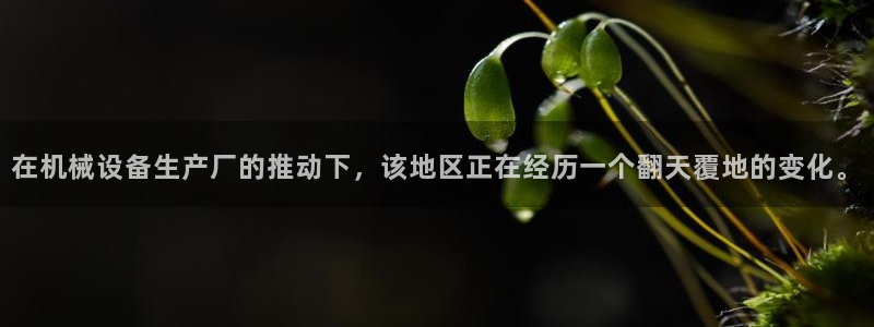 球盟会有限公司怎么样