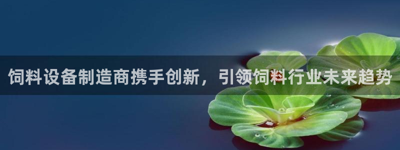 球盟会官方网站入口