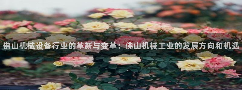 球盟会进不去