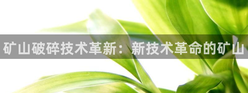球盟会头号玩家是谁