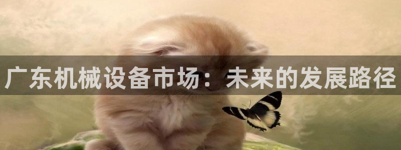 球盟会黑款吗是真的吗