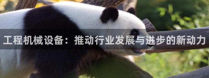 球盟会官方网站入口