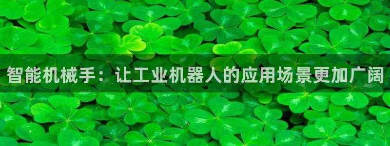 球盟会和中欧