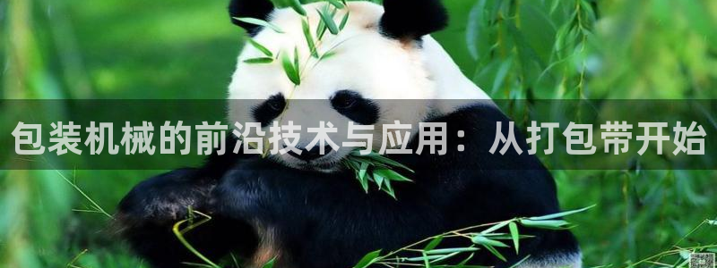 球盟会类似的网站