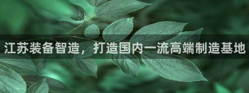 球盟会入口
