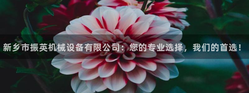 球盟会优惠领取网站