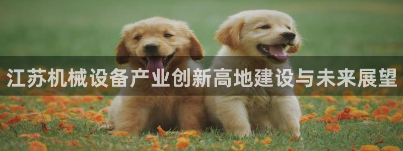 球盟会官方网入口