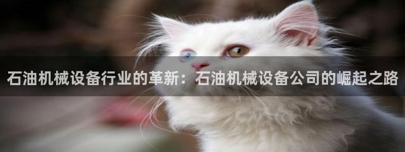 球盟会下载最新版