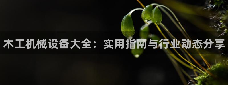 球盟会有没有黑单的