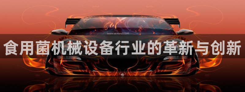 球盟会官方版下载地址