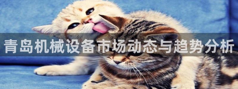球盟会官方网站是什么