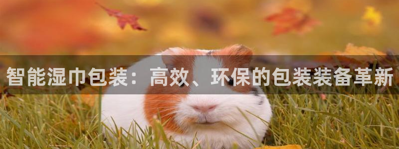 球盟会登录网址