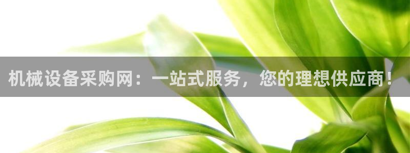球盟会app最新地址在哪