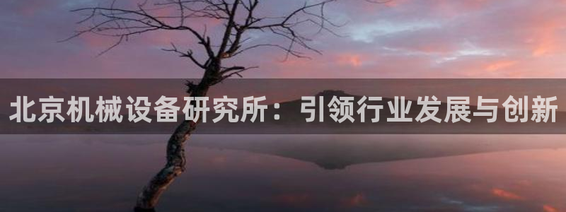 球盟会进不去球员吗