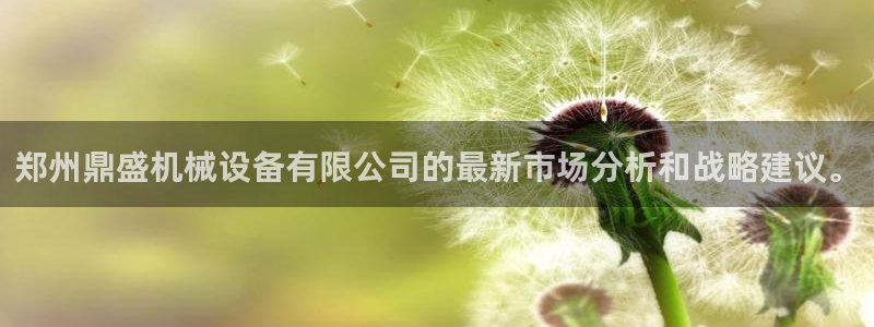 球盟会电子