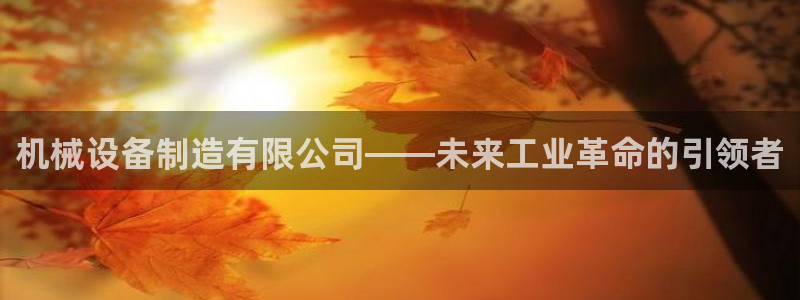 球盟会进不去吗