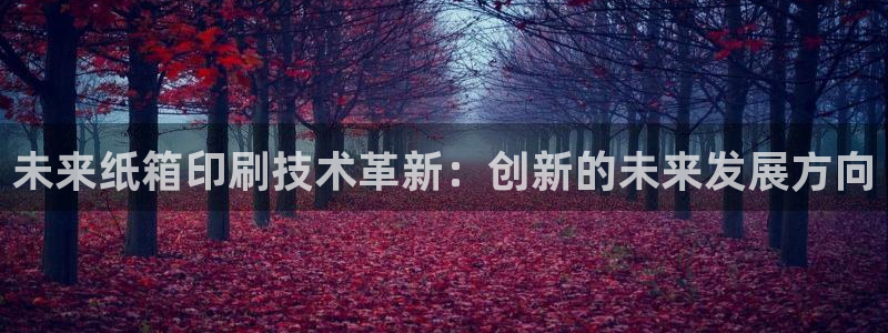 球盟会黑台子吗