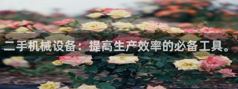 球盟会官方下载