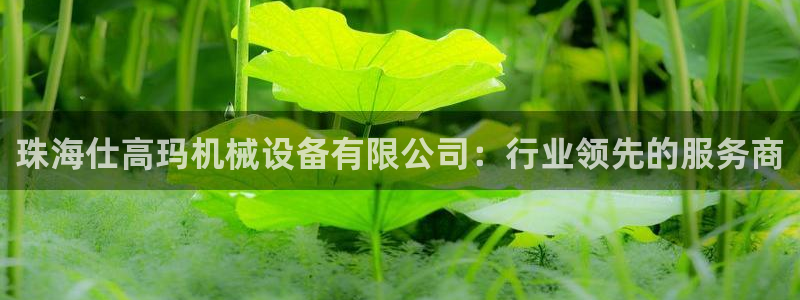球盟会电子