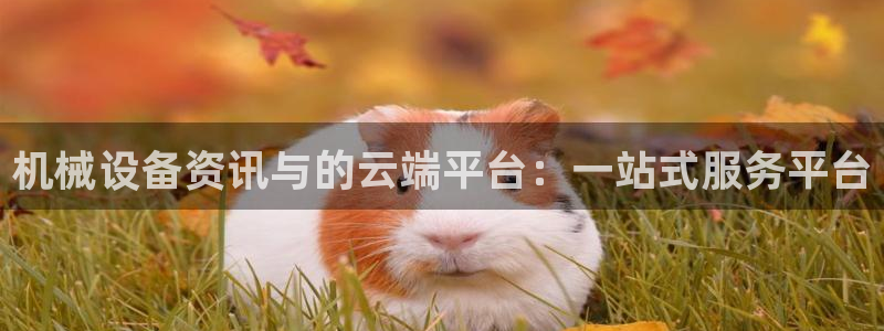球盟会官方下载