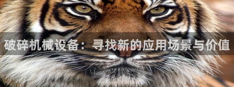 球盟会qmh网页版登录 - qm球盟会官方网站