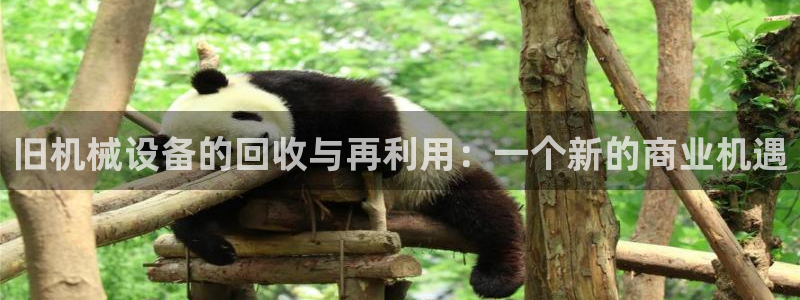 球盟会头号玩家是谁