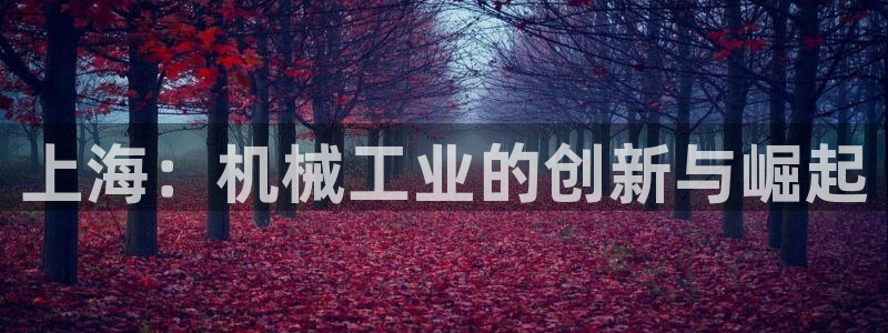 球盟会qmh登录地址