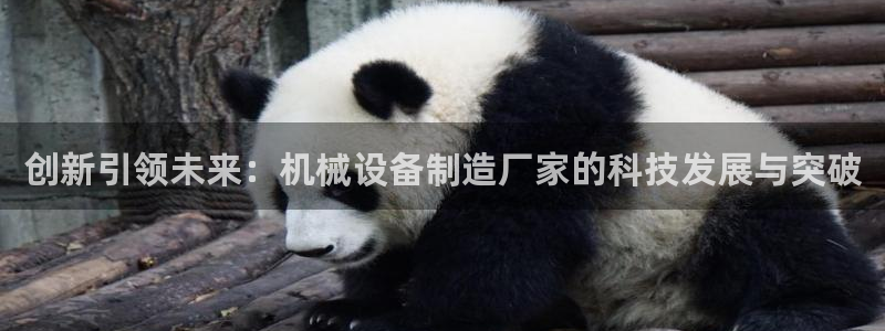 球盟会最新活动