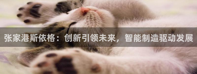 球盟会几点玩合适